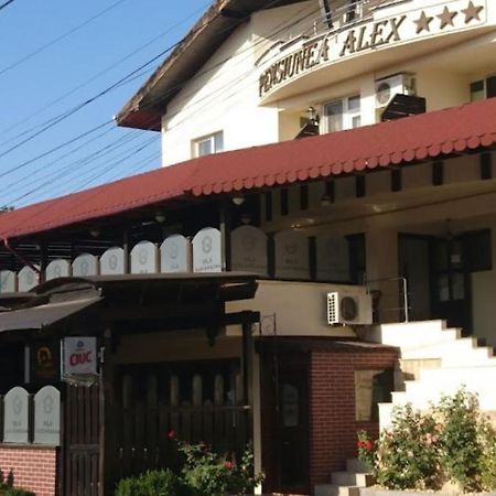 Vila Alex&Razvan Tulcza Zewnętrze zdjęcie